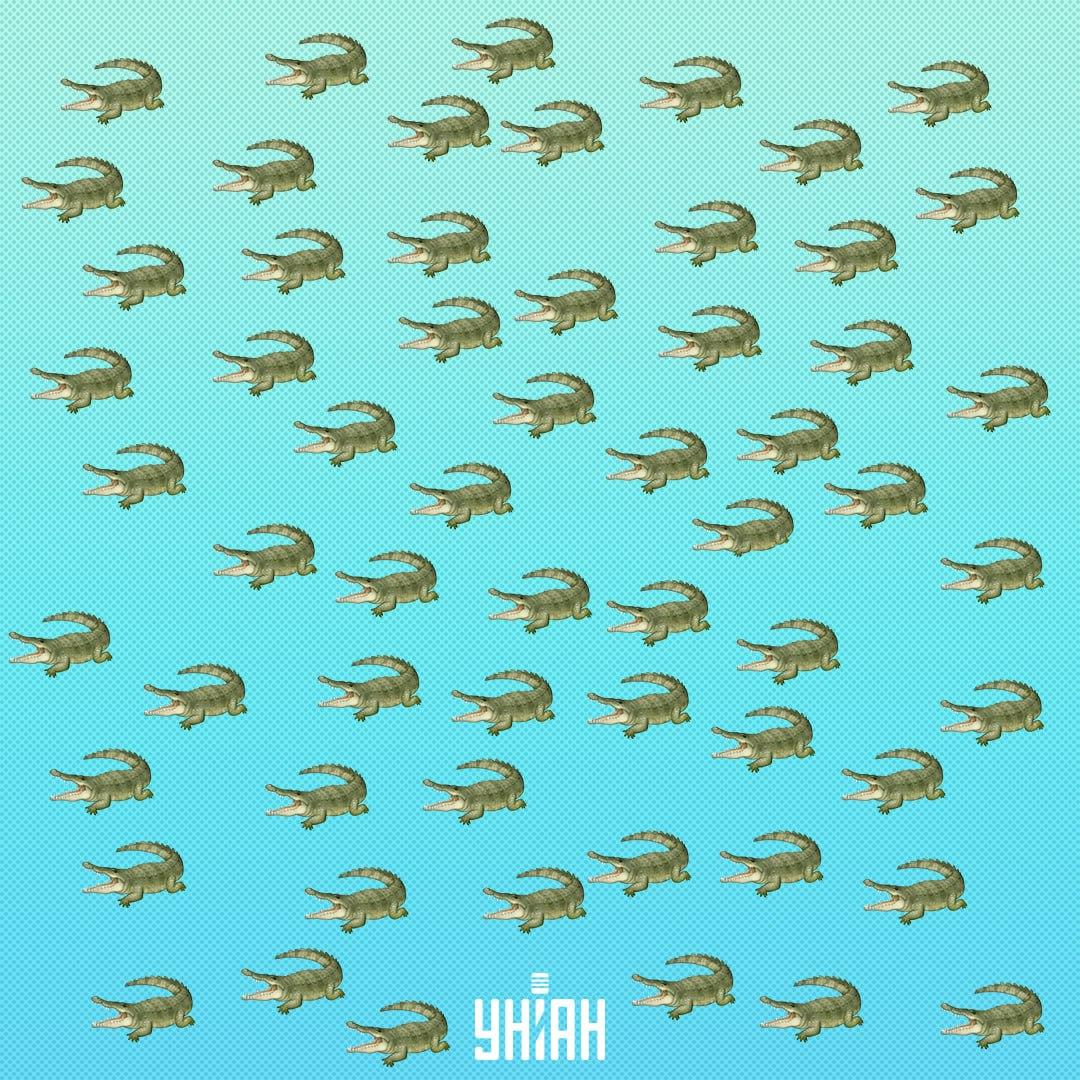 Reptil ini tersembunyi, tetapi Anda akan melihatnya dalam 15 detik / Kolase Moje