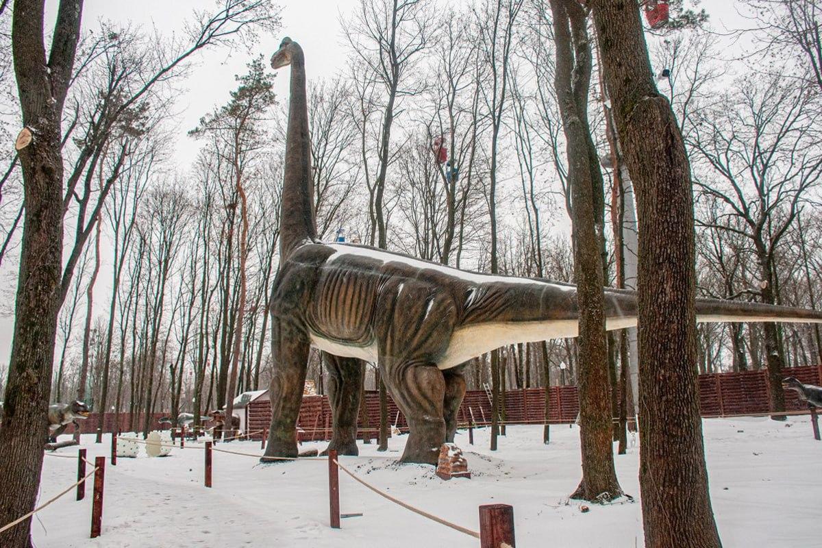 Temukan seekor anjing di salju dalam 10 detik / kolase Moje